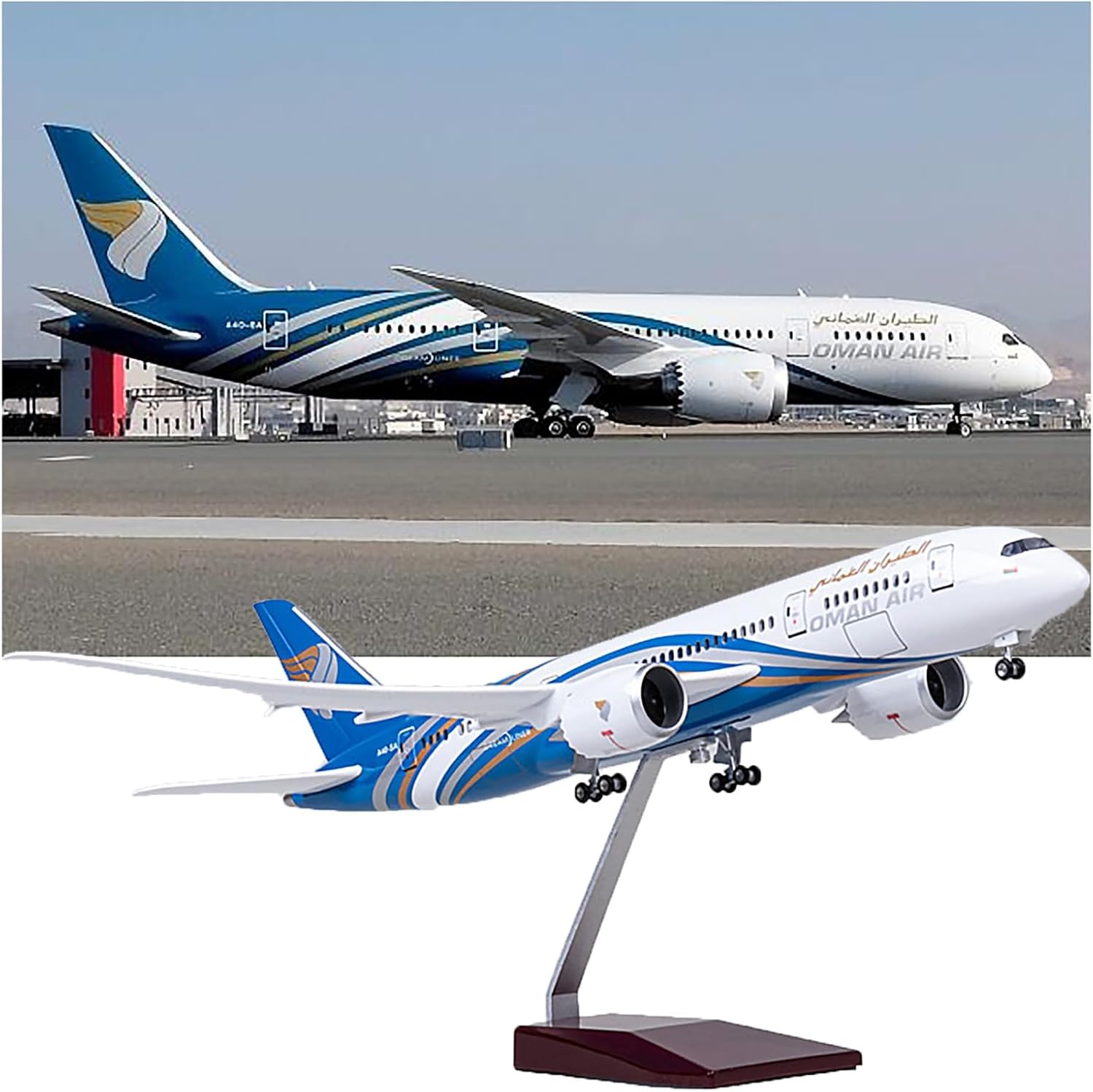 1/130 Scale 47CM Airplane 787  - مراجعة Model Airplane Plastic وسعره