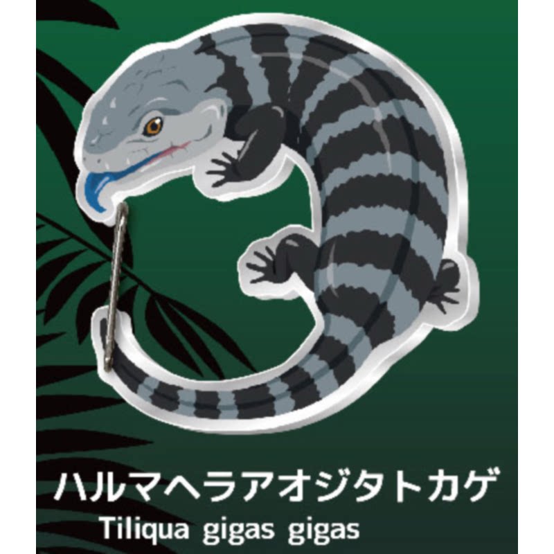Gecko Lover Carabiner Gashapon - مراجعة Capsule Toy Gashapon وسعره