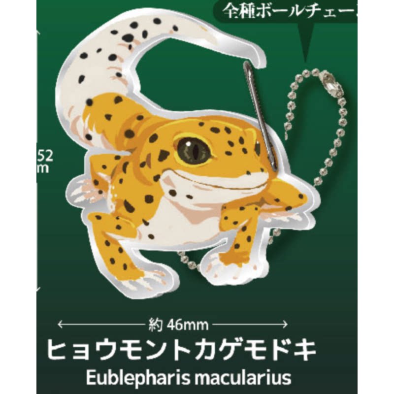 Gecko Lover Carabiner Gashapon - مراجعة Capsule Toy Gashapon وسعره